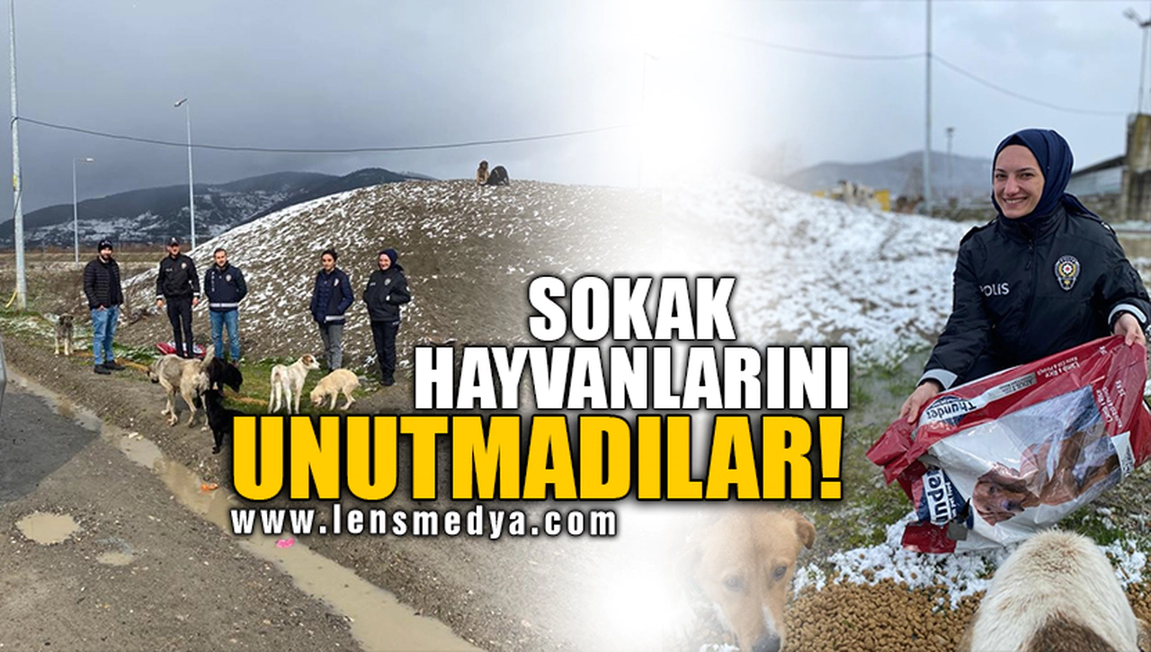 SOKAK HAYVANLARINI UNUTMADILAR!