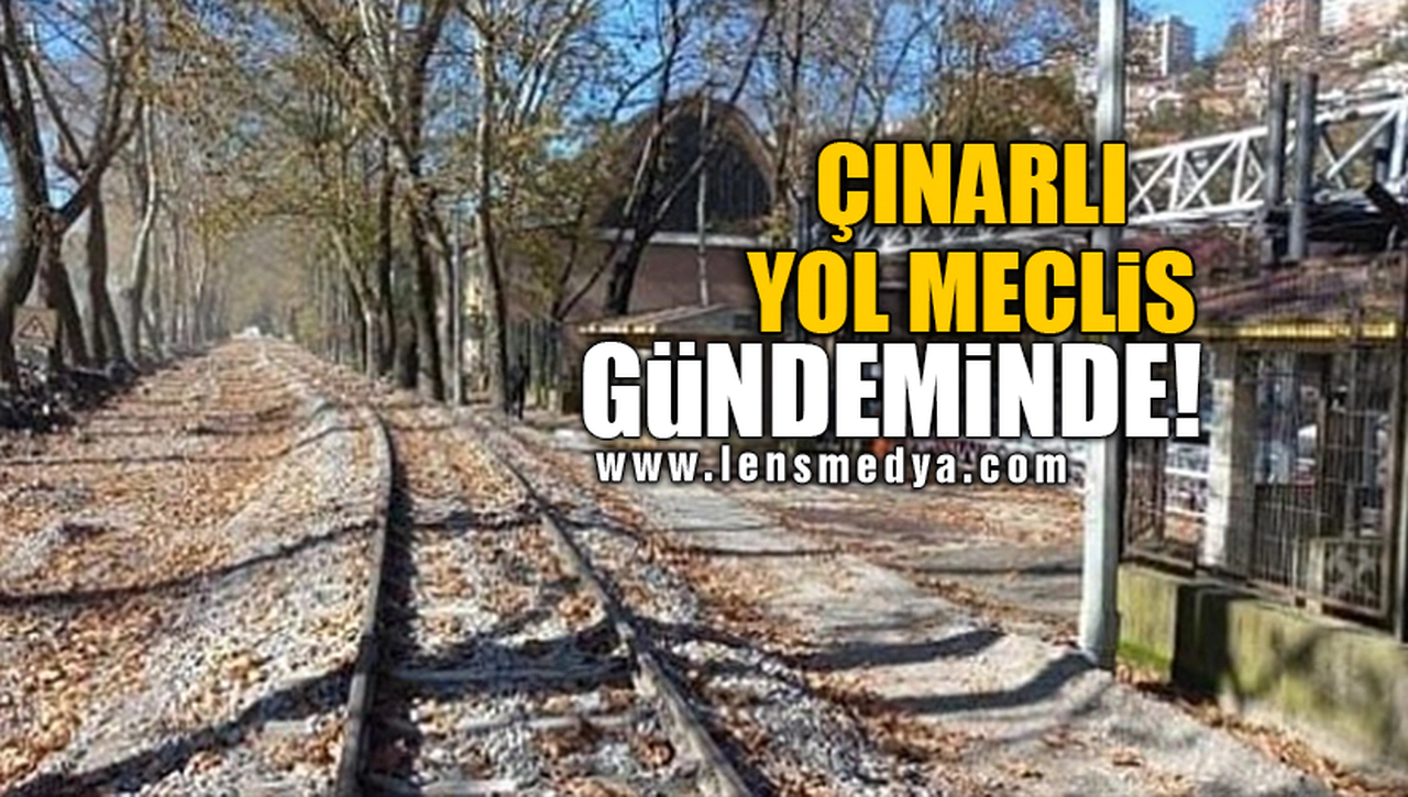 ÇINARLI YOL MECLİS GÜNDEMİNDE!