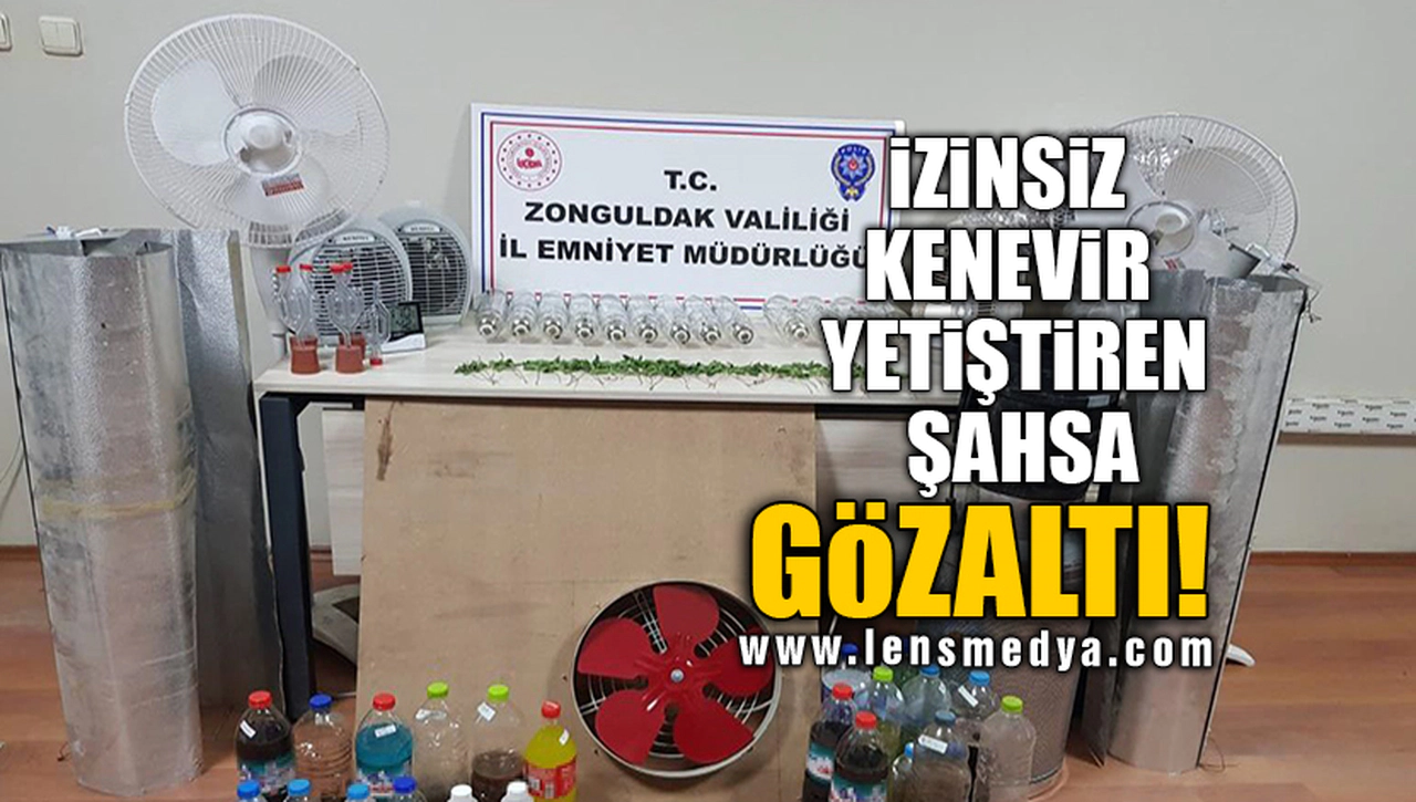 İZİNSİZ KENEVİR YETİŞTİREN ŞAHSA GÖZALTI!