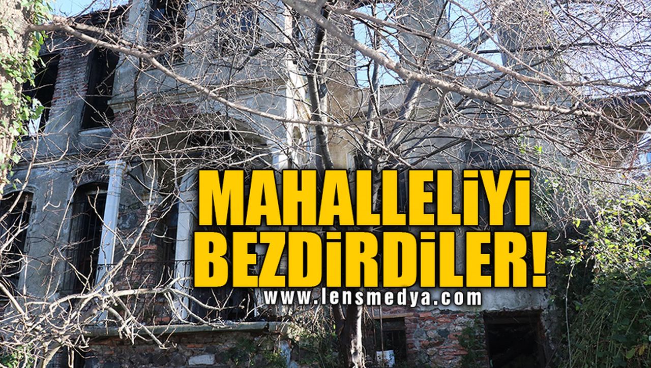 MAHALLELİYİ BEZDİRDİLER!