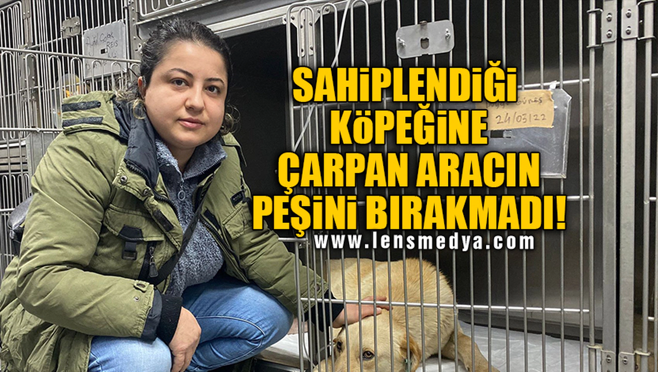 SAHİPLENDİĞİ KÖPEĞİNE ÇARPAN ARACIN PEŞİNİ BIRAKMADI!