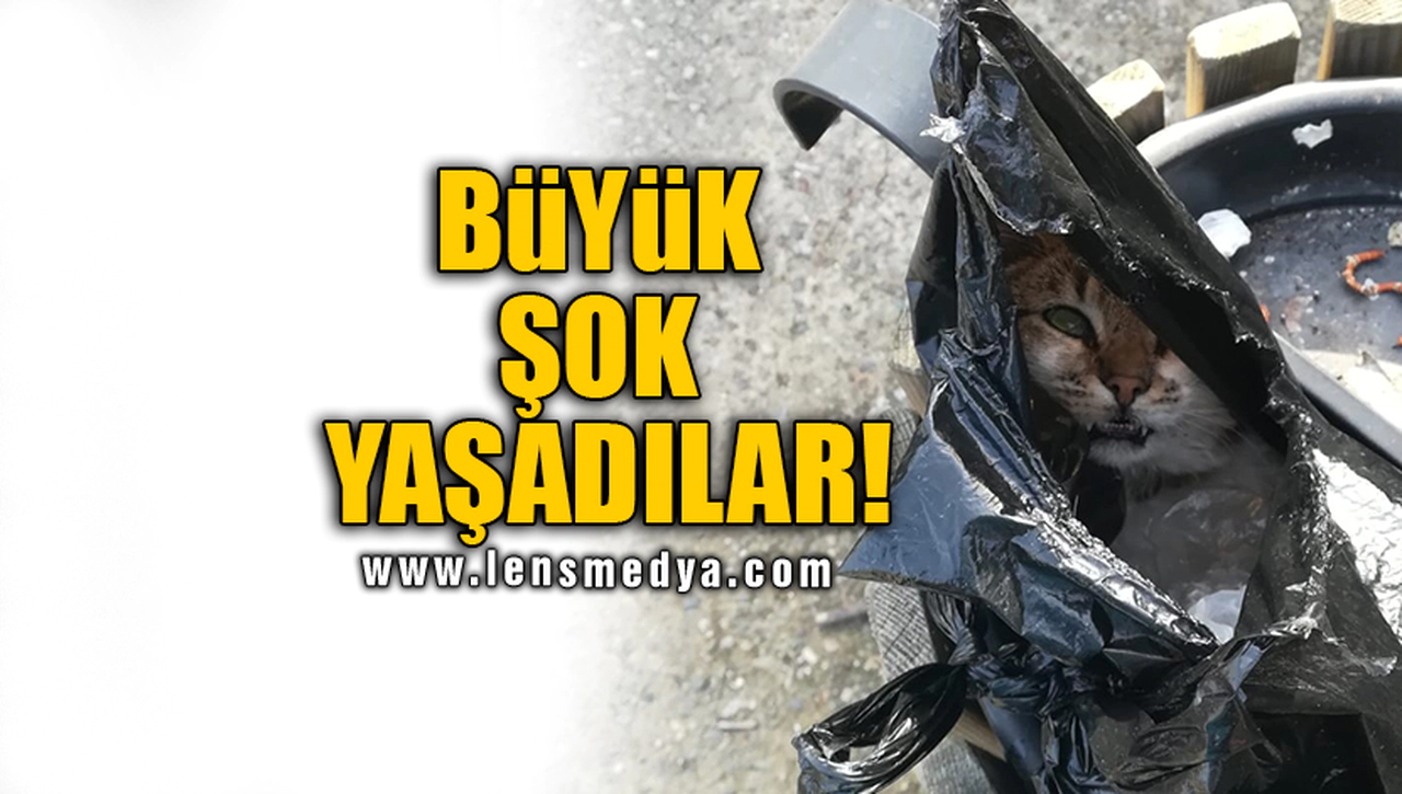 BÜYÜK ŞOK YAŞADILAR!