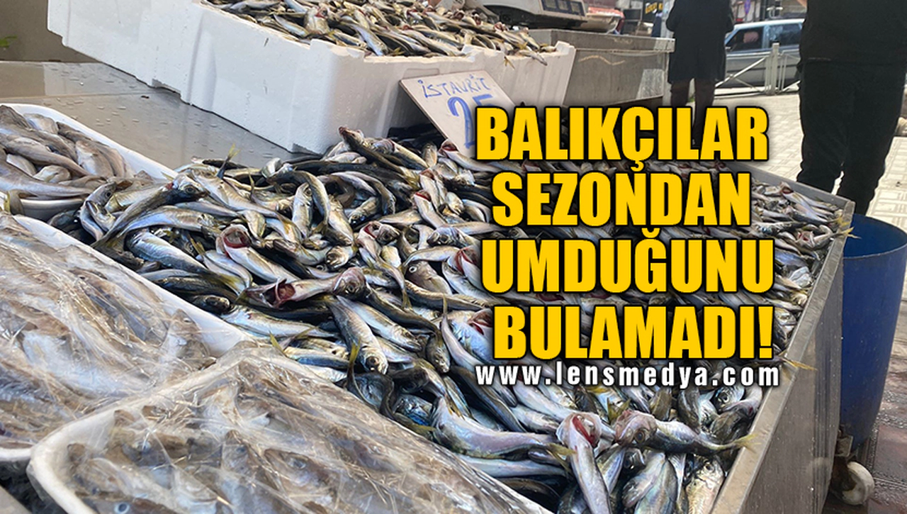 BALIKÇILAR SEZONDAN UMDUĞUNU BULAMADI!