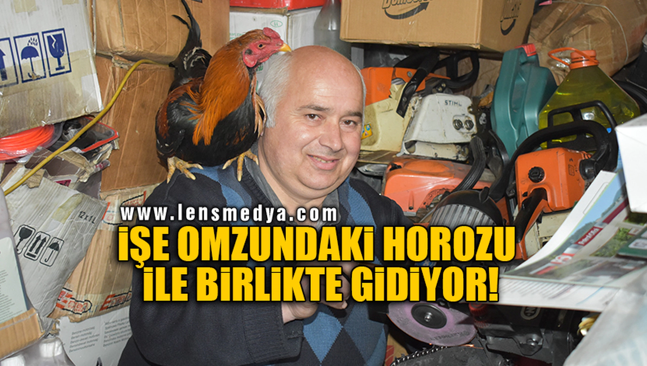 İŞE OMZUNDAKİ HOROZU İLE BİRLİKTE GİDİYOR!