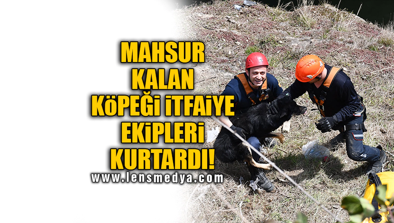 MAHSUR KALAN KÖPEĞİ İTFAİYE EKİPLERİ KURTARDI!