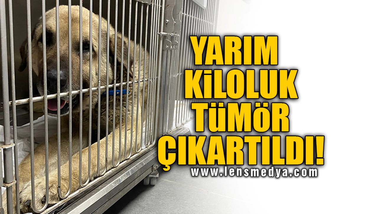 YARIM KİLOLUK TÜMÖR ÇIKARTILDI!