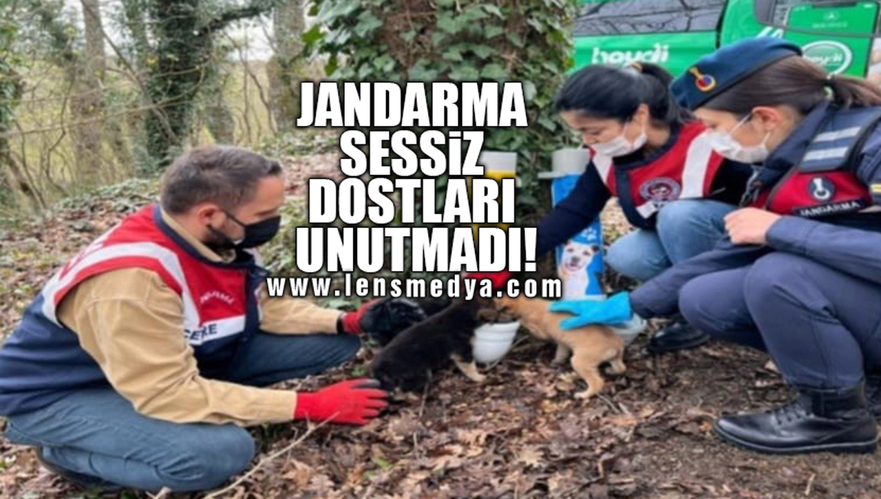JANDARMA SESSİZ DOSTLARI UNUTMADI!