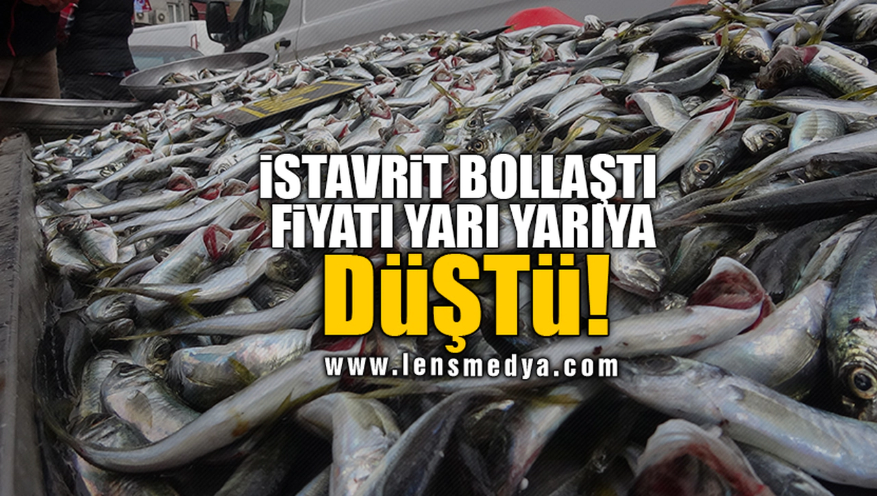 İSTAVRİT BOLLAŞTI FİYATI YARI YARIYA DÜŞTÜ!