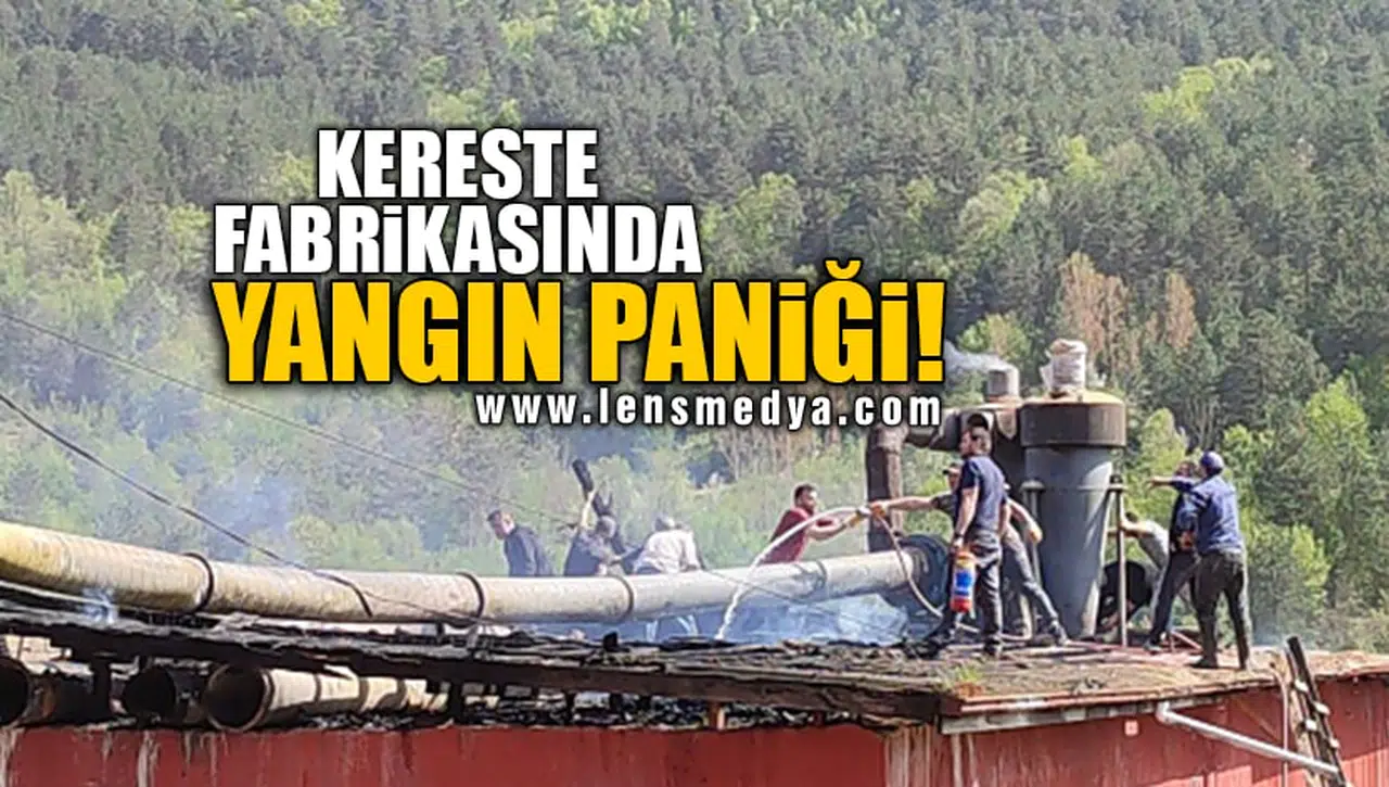 KERESTE FABRİKASINDA YANGIN PANİĞİ!