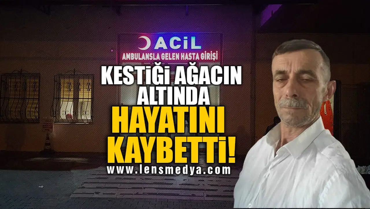 KESTİĞİ AĞACIN ALTINDA HAYATINI KAYBETTİ!