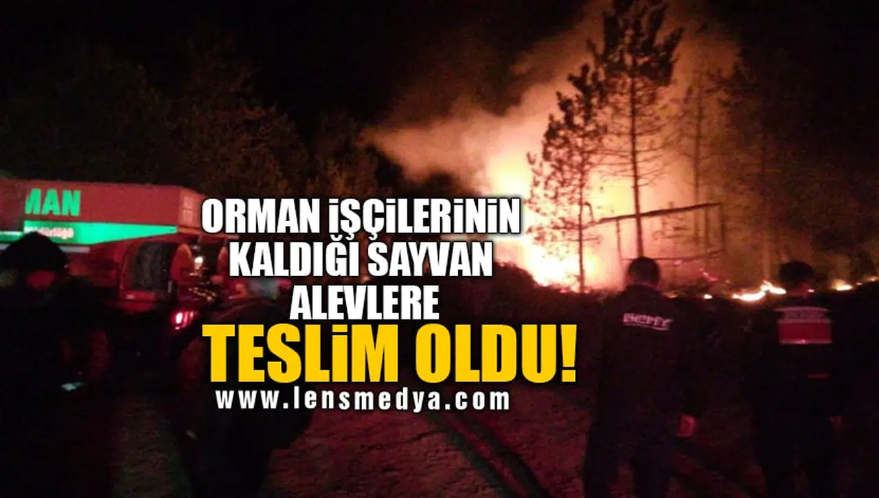 ORMAN İŞÇİLERİNİN KALDIĞI SAYVAN ALEVLERE TESLİM OLDU!