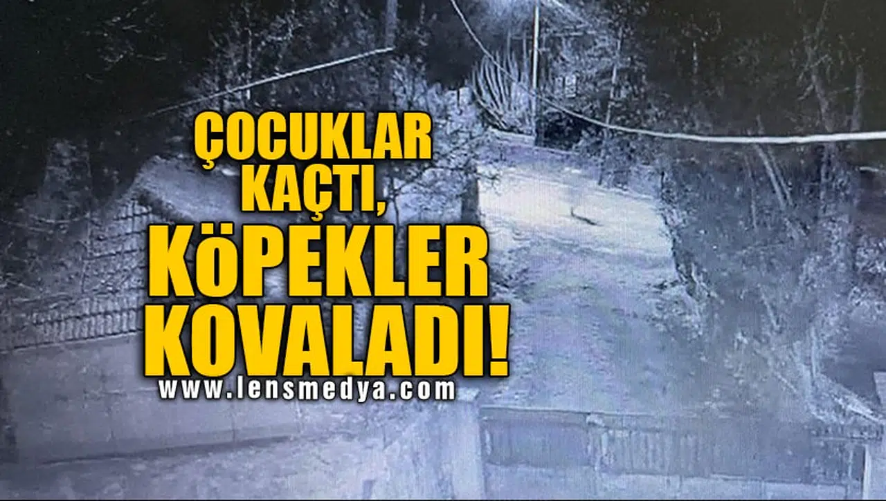ÇOCUKLAR KAÇTI, KÖPEKLER KOVALADI!