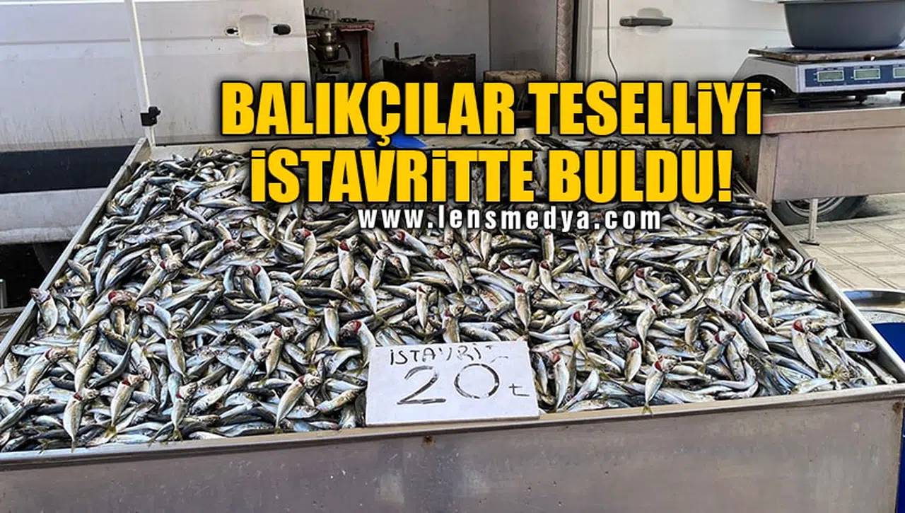 BALIKÇILAR TESELLİYİ İSTAVRİTTE BULDU!
