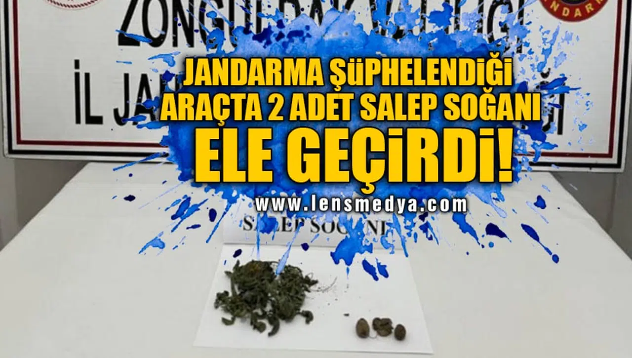 JANDARMA ŞÜPHELENDİĞİ ARAÇTA 2 ADET SALEP SOĞANI ELE GEÇİRDİ!