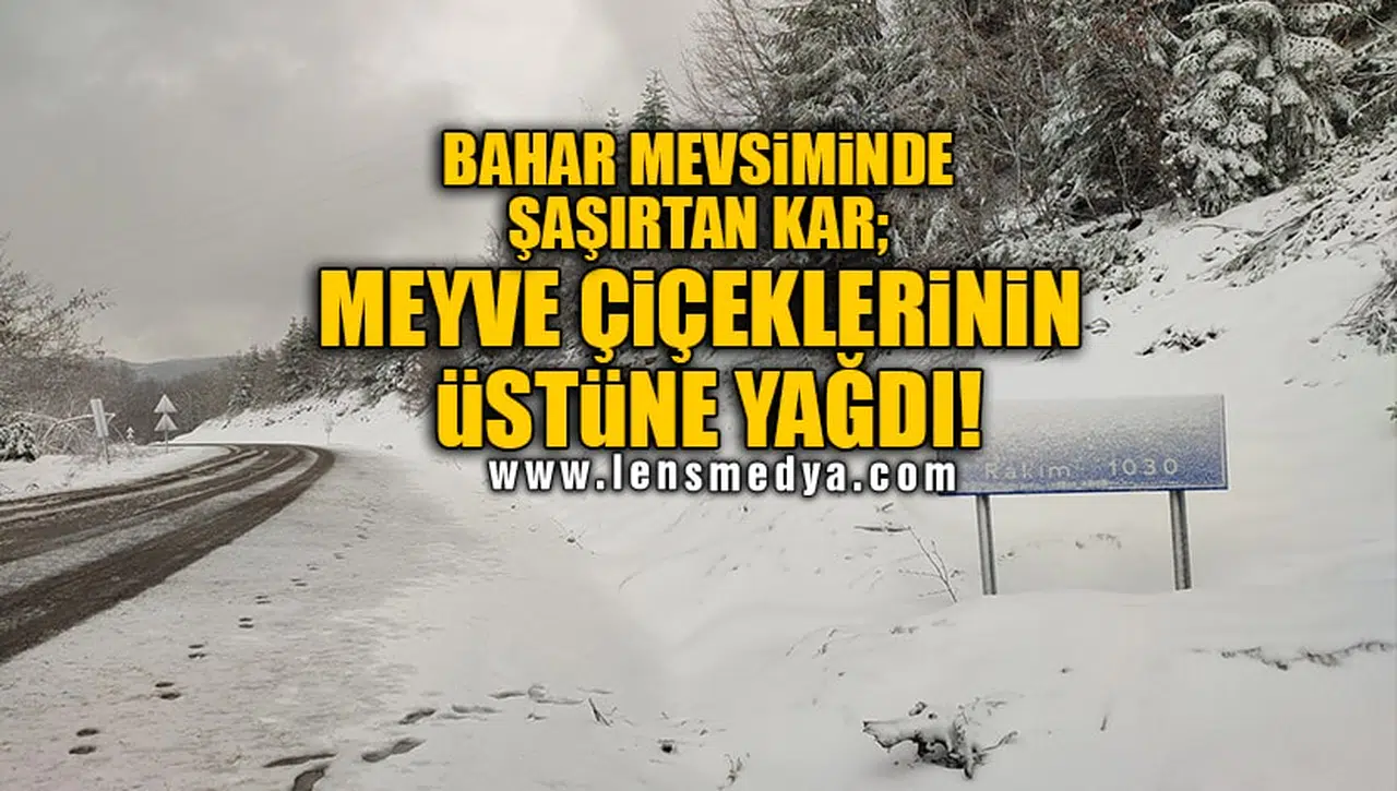 BAHAR MEVSİMİNDE ŞAŞIRTAN KAR; MEYVE ÇİÇEKLERİNİN ÜSTÜNE YAĞDI!
