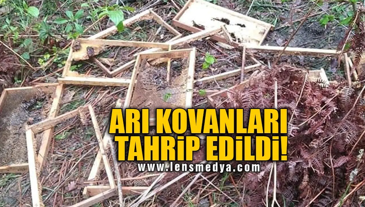 ARI KOVANLARI TAHRİP EDİLDİ!