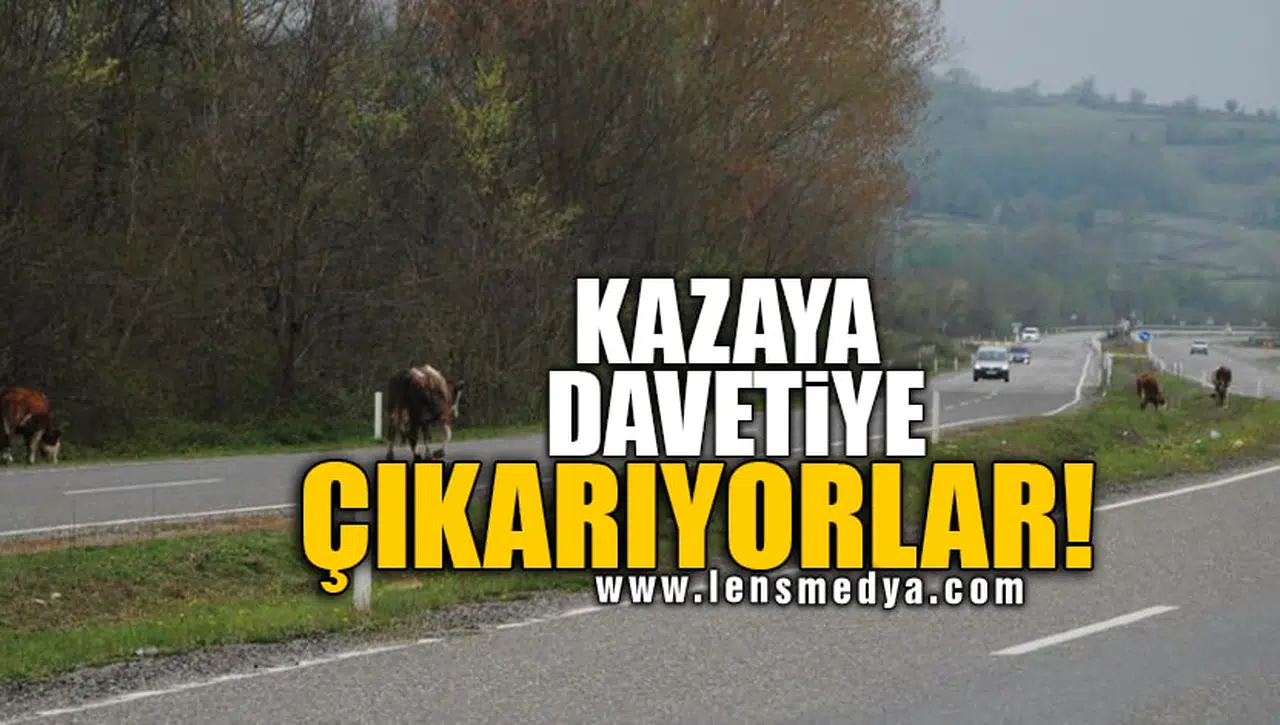 KAZAYA DAVETİYE ÇIKARIYORLAR!