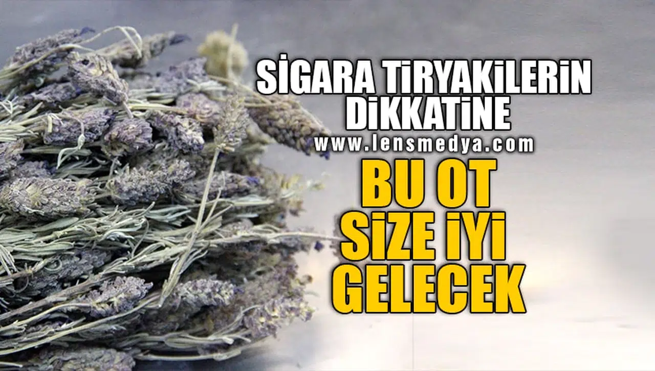 BU OT SİZE İYİ GELECEK!