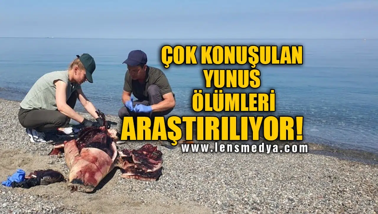 ÇOK KONUŞULAN YUNUS ÖLÜMLERİ ARAŞTIRILIYOR!