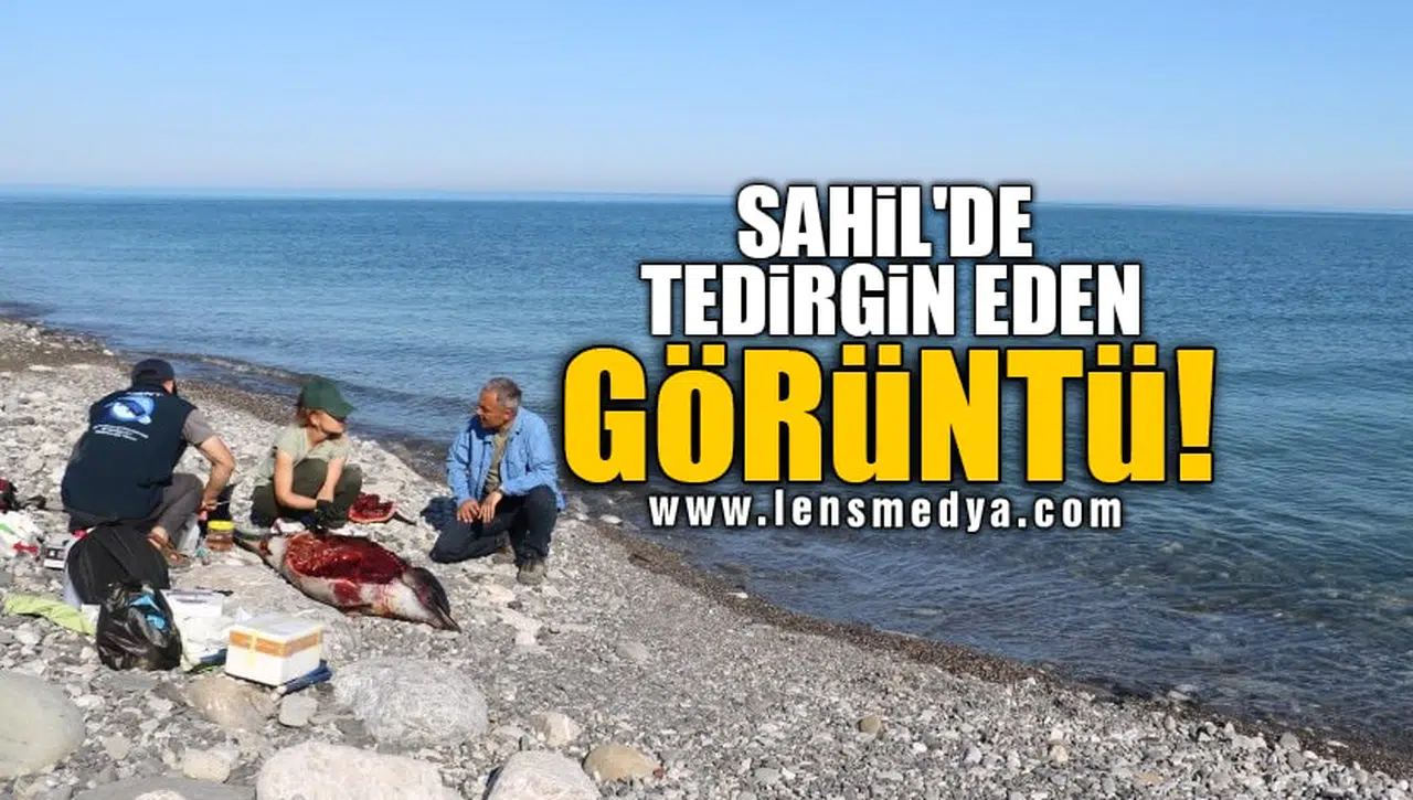 SAHİL'DE TEDİRGİN EDEN GÖRÜNTÜ!