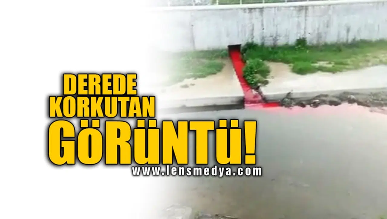 DEREDE KORKUTAN GÖRÜNTÜ!