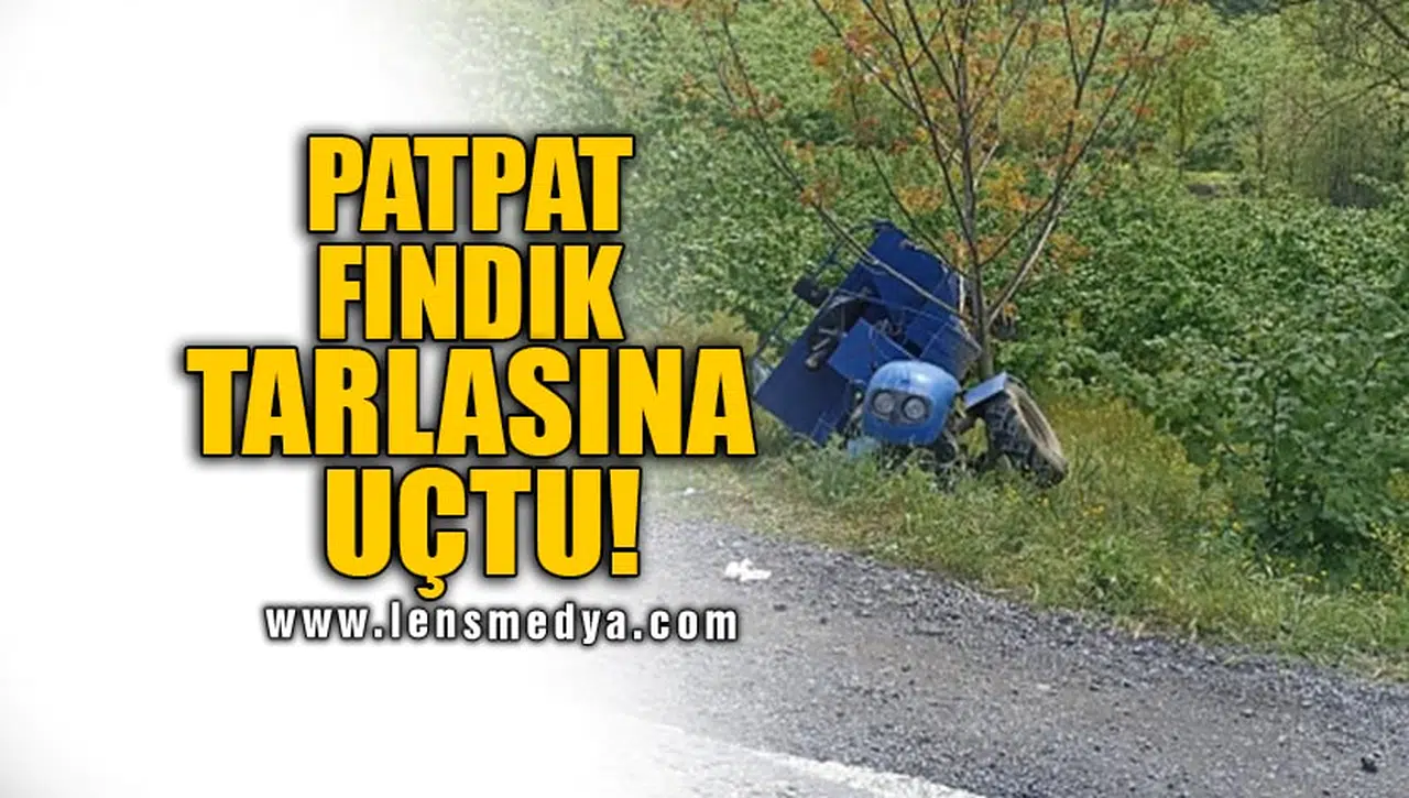 PATPAT FINDIK TARLASINA UÇTU!