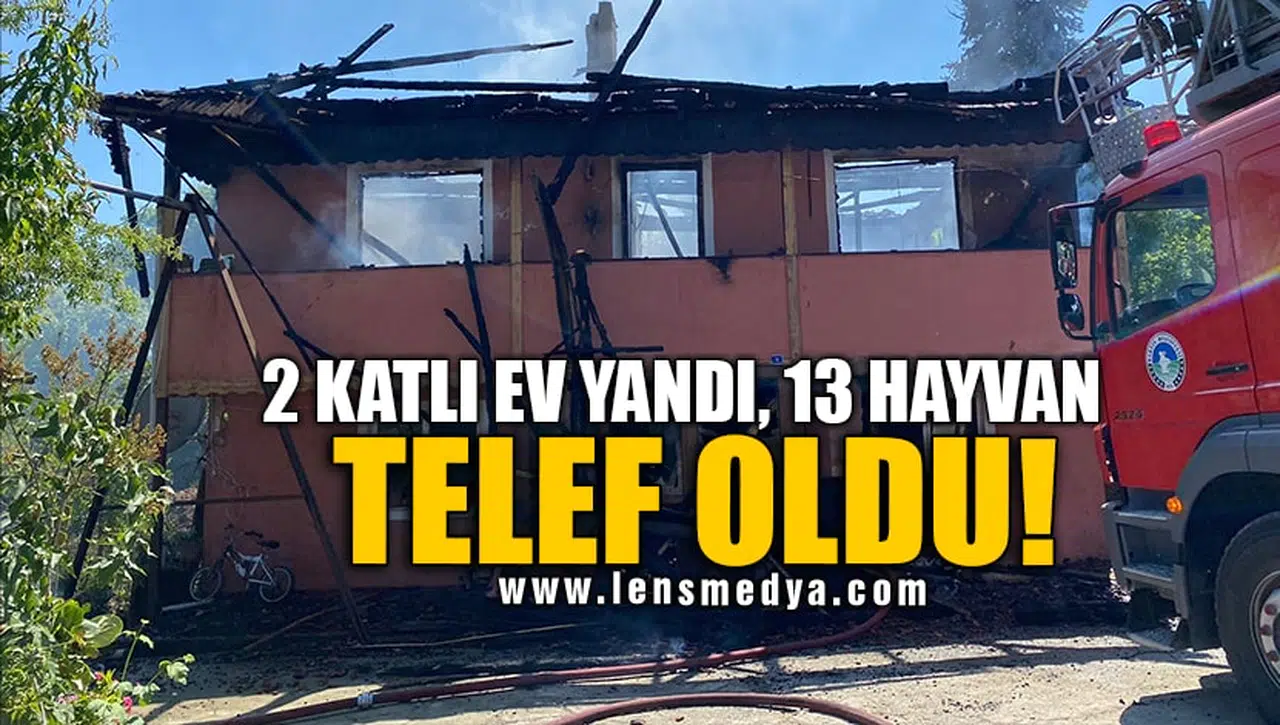 2 KATLI EV YANDI, 13 HAYVAN TELEF OLDU!