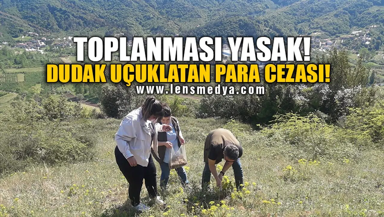 TOPLANMASI YASAK! DUDAK UÇUKLATAN PARA CEZASI!