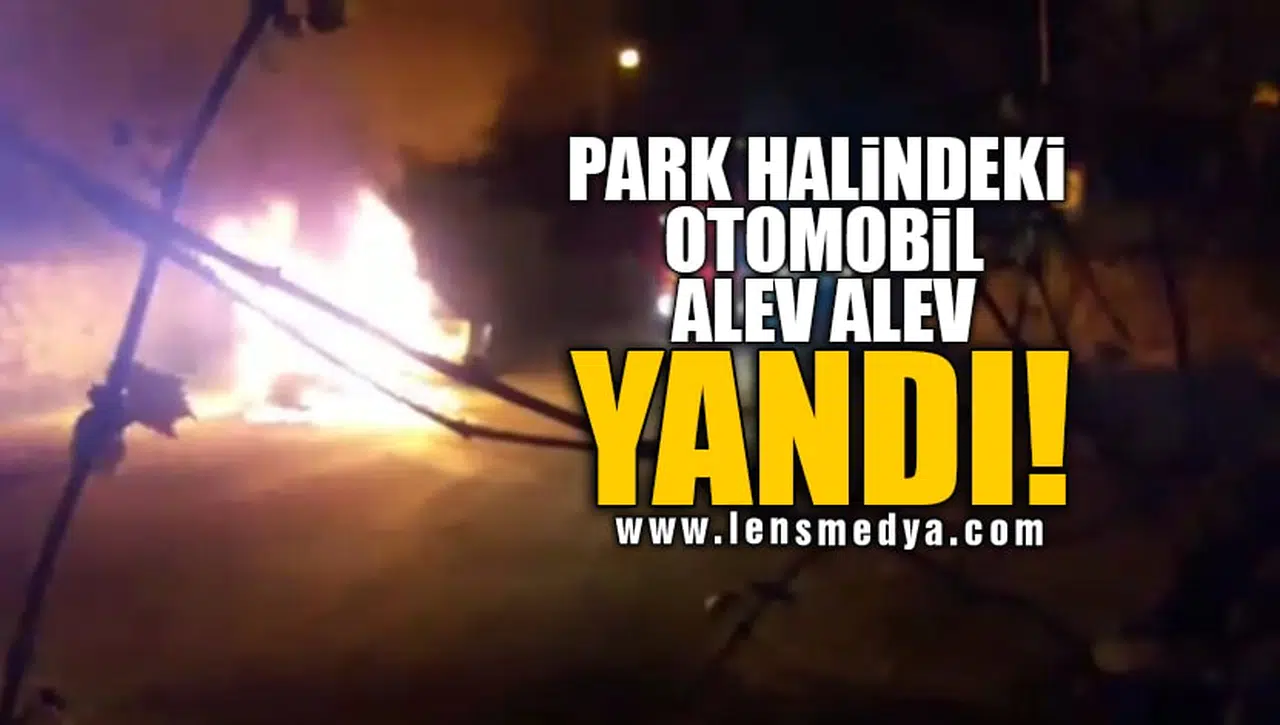 PARK HALİNDEKİ OTOMOBİL ALEV ALEV YANDI!