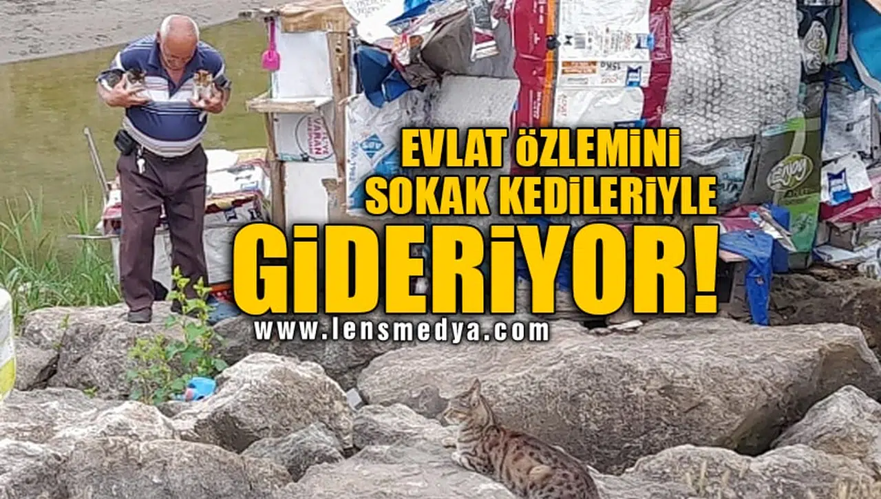 EVLAT ÖZLEMİNİ SOKAK KEDİLERİYLE GİDERİYOR!