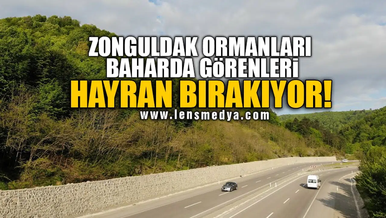 ZONGULDAK ORMANLARI BAHARDA GÖRENLERİ HAYRAN BIRAKIYOR!