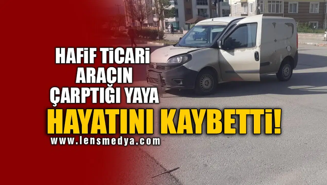 HAFİF TİCARİ ARACIN ÇARPTIĞI YAYA HAYATINI KAYBETTİ!