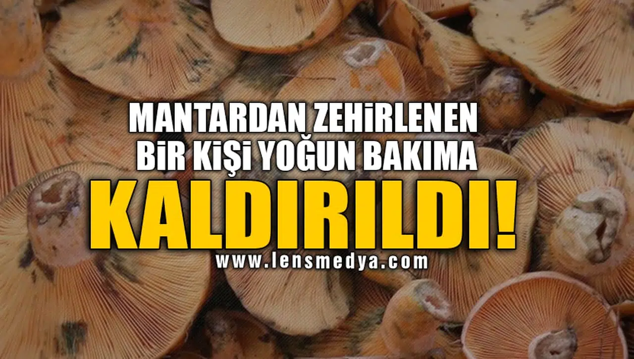 MANTARDAN ZEHİRLENEN BİR KİŞİ YOĞUN BAKIMA KALDIRILDI!