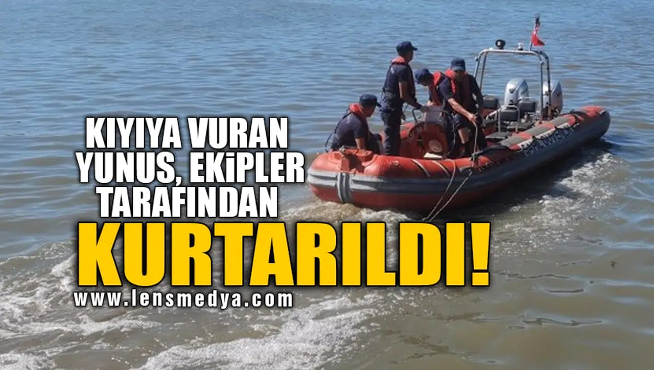 KIYIYA VURAN YUNUS, EKİPLER TARAFINDAN KURTARILDI!