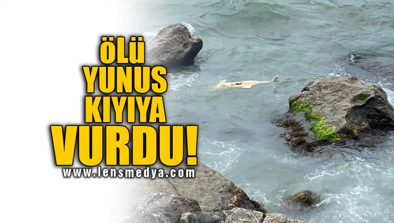 ÖLÜ YUNUS KIYIYA VURDU!