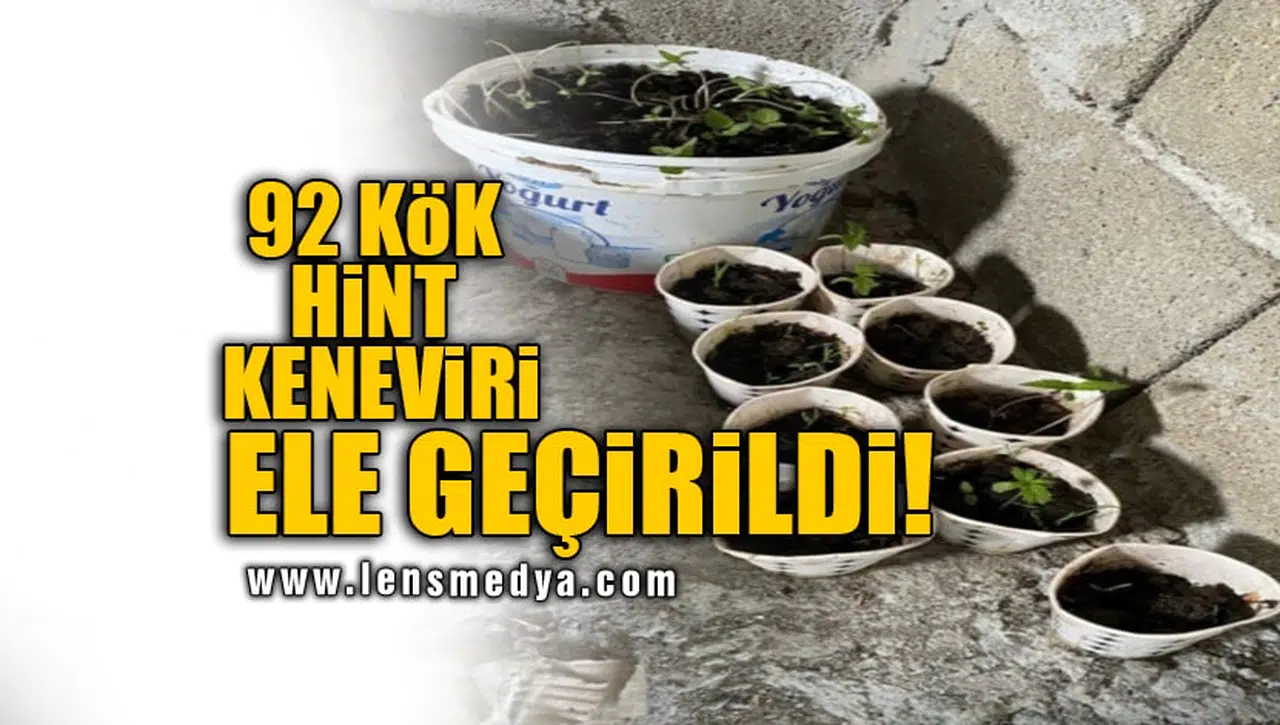 92 KÖK HİNT KENEVİRİ ELE GEÇİRİLDİ!