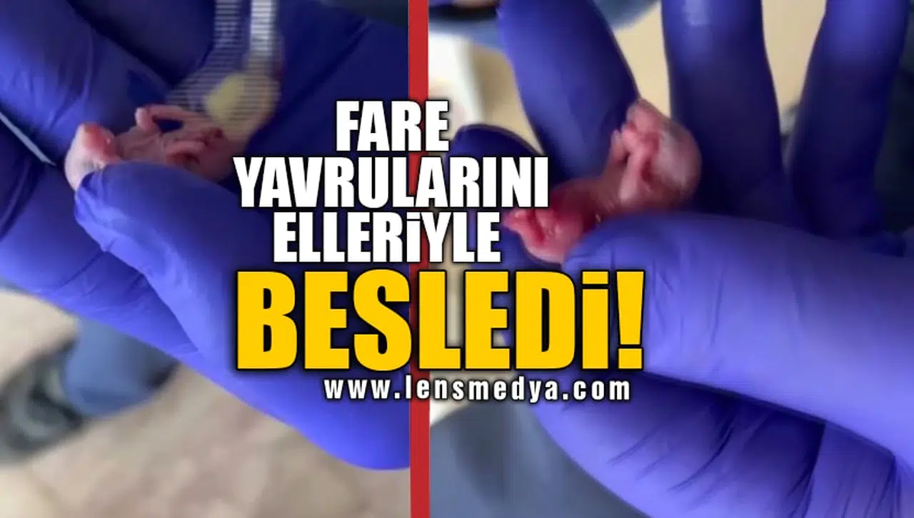 FARE YAVRULARINI ELLERİYLE BESLEDİ!