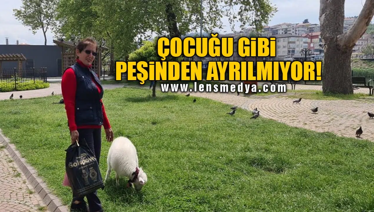ÇOCUĞU GİBİ PEŞİNDEN AYRILMIYOR!