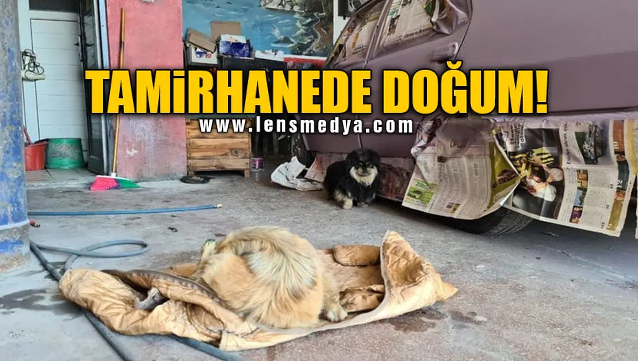 TAMİRHANEDE DOĞUM!