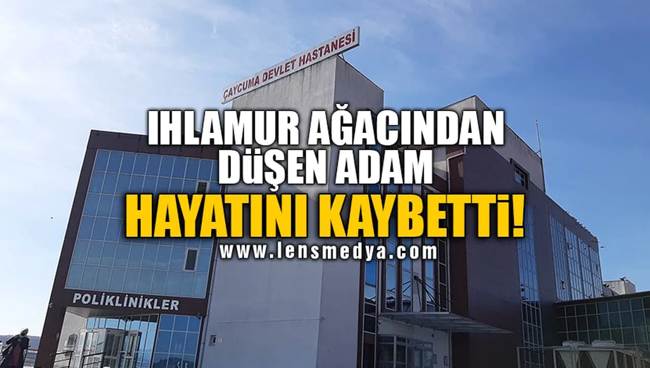 IHLAMUR AĞACINDAN DÜŞEN ADAM HAYATINI KAYBETTİ!