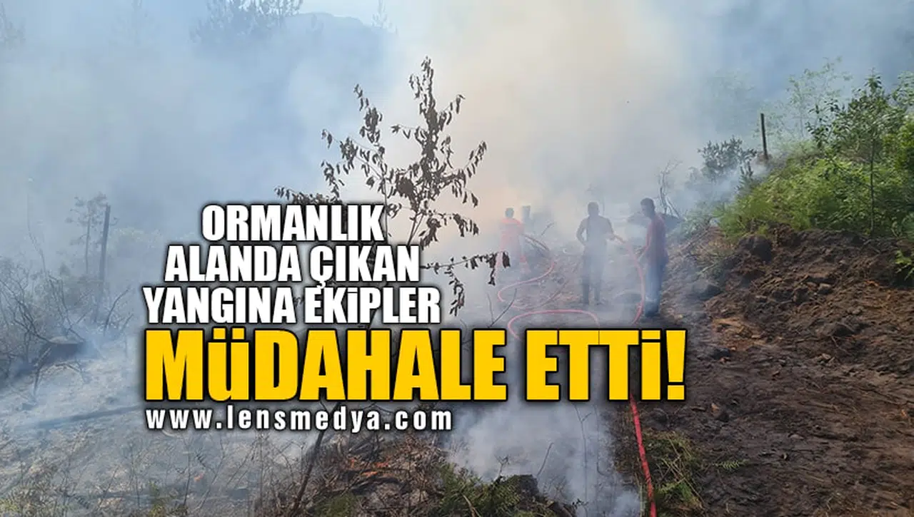 ORMANLIK ALANDA ÇIKAN YANGINA EKİPLER MÜDAHALE ETTİ!