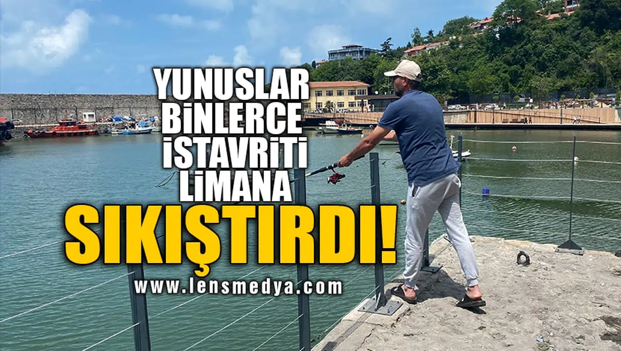 YUNUSLAR BİNLERCE İSTAVRİTİ LİMANA SIKIŞTIRDI!