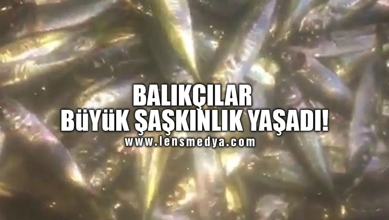 BALIKÇILAR BÜYÜK ŞAŞKINLIK YAŞADI!