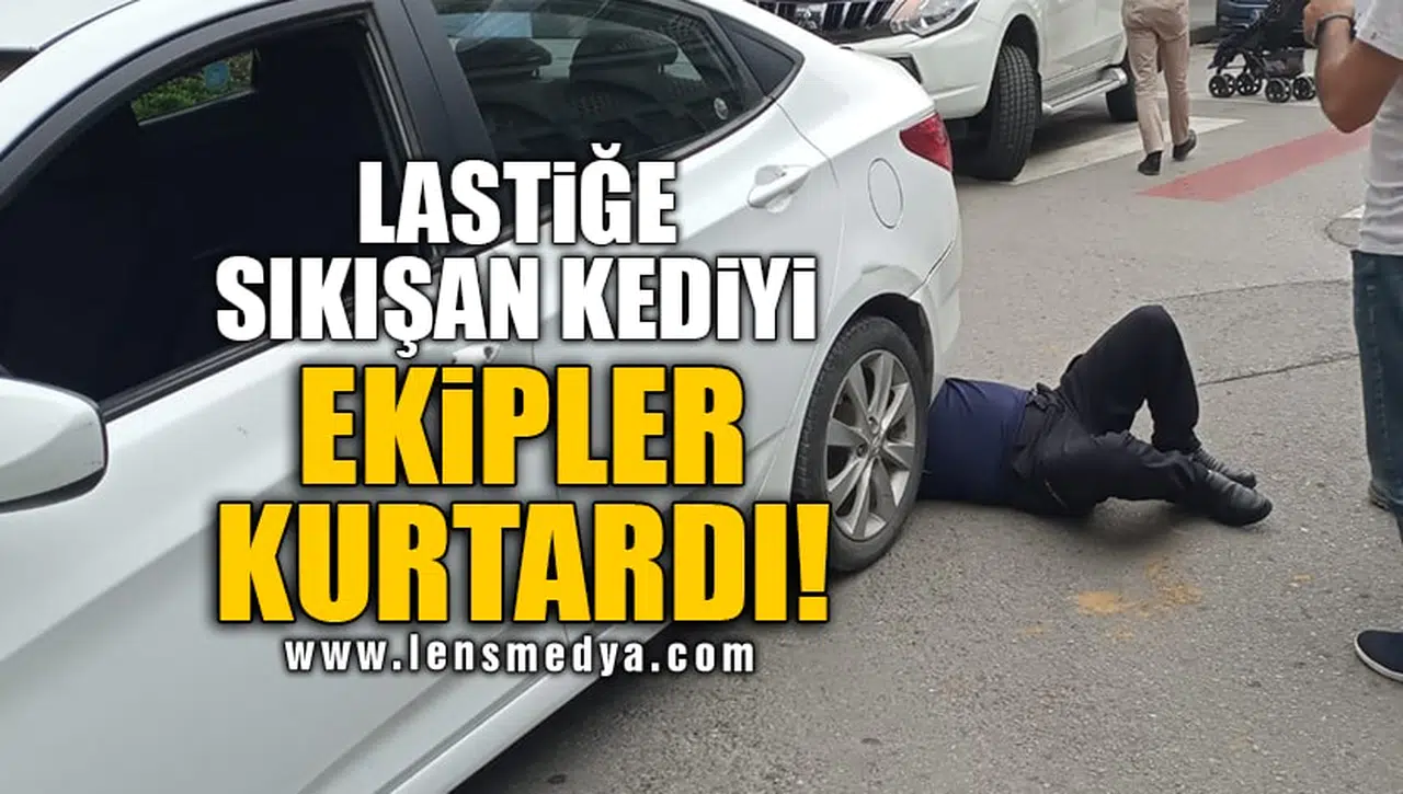 LASTİĞE SIKIŞAN KEDİYİ EKİPLER KURTARDI!