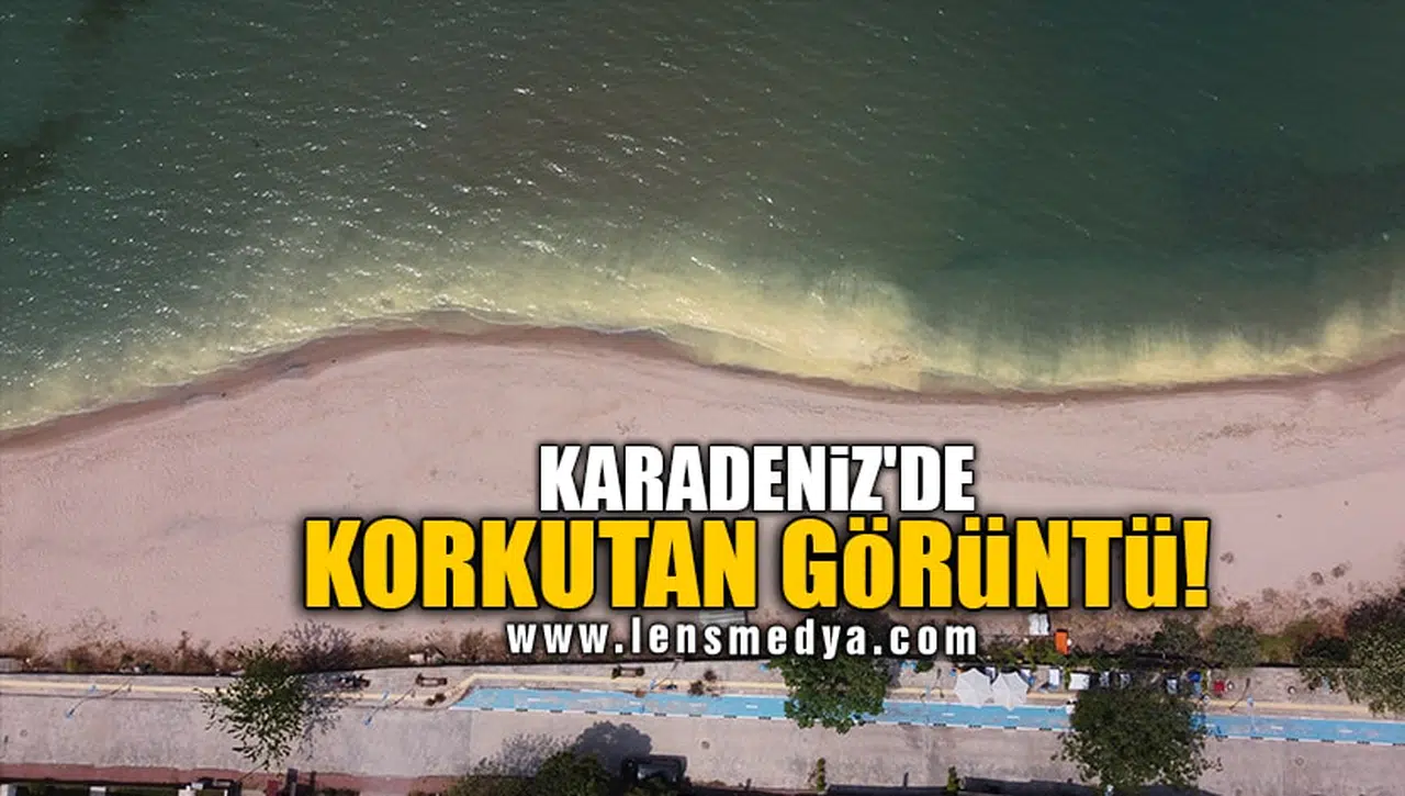 KARADENİZ'DE KORKUTAN GÖRÜNTÜ!