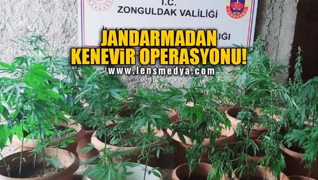 JANDARMADAN KENEVİR OPERASYONU!