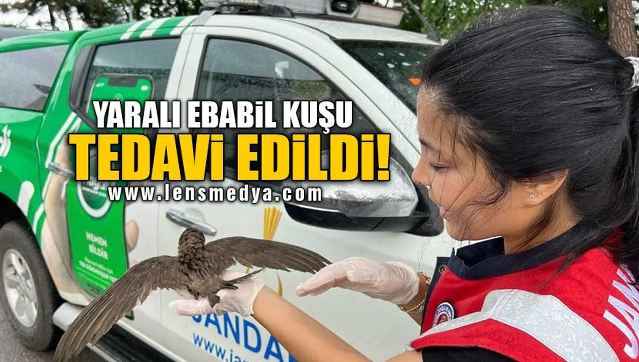 YARALI EBABİL KUŞU TEDAVİ EDİLDİ!