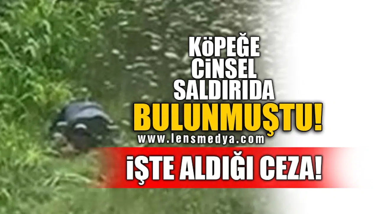 KÖPEĞE CİNSEL SALDIRIDA BULUNMUŞTU! İŞTE ALDIĞI CEZA!