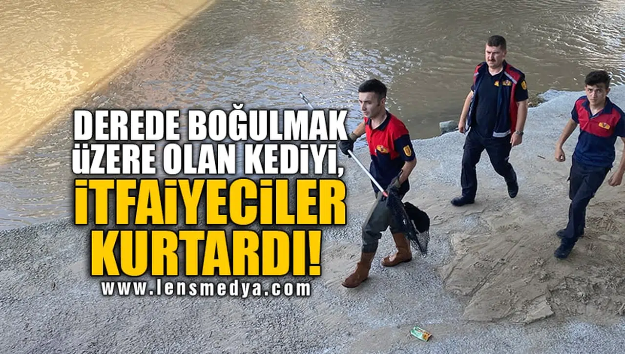 DEREDE BOĞULMAK ÜZERE OLAN KEDİYİ, İTFAİYECİLER KURTARDI!