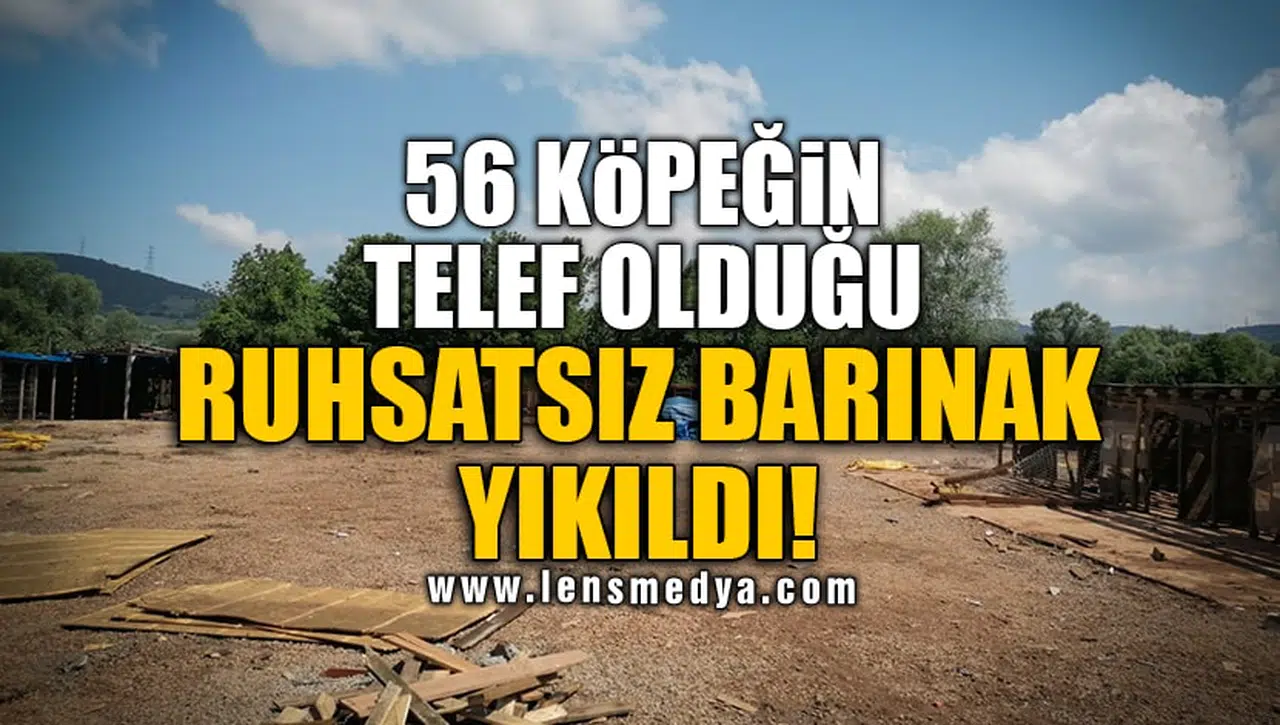 56 KÖPEĞİN TELEF OLDUĞU RUHSATSIZ BARINAK YIKILDI!